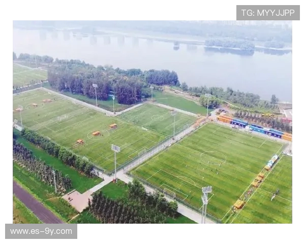 沈阳最受欢迎的足球场地推荐与玩法指南