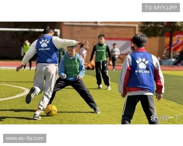 全面详解创意宠物足球变形实操图文教学超详细入门升级进阶指南全